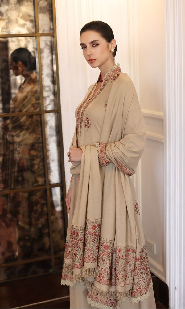 Dhanak 3pc unstitched heavy embroidered suit with embroidered shawl and patched