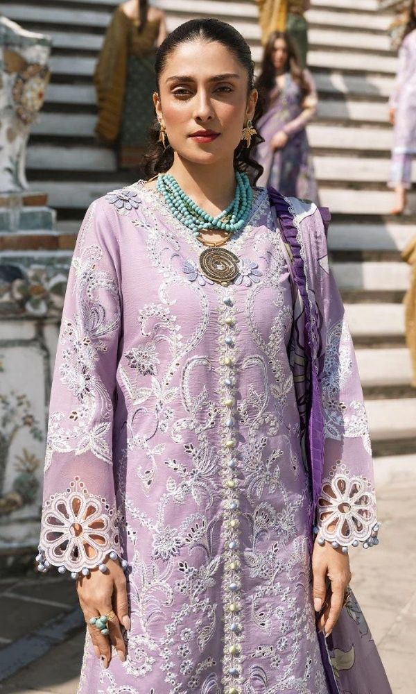 Dhanak 3pc heavy cutwork embroidered suit with woolen dupatta