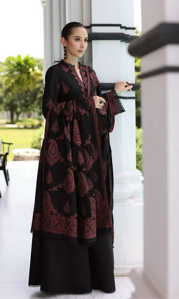 Dhanak 3pc unstitched heavy embroidered suit with embroidered shawl