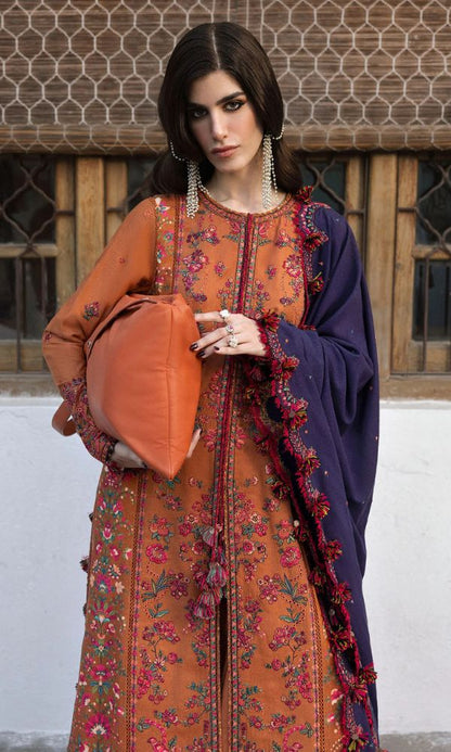 Dhanak 3pc heavy embroidered suit with embroidered shawl